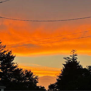 Meet your Posher, Reaghan